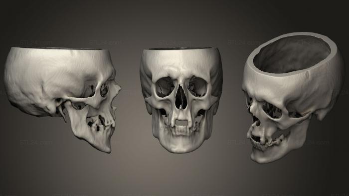 Anatomy of skeletons and skulls (Skull Male 51yo, ANTM_1289) 3D models for cnc